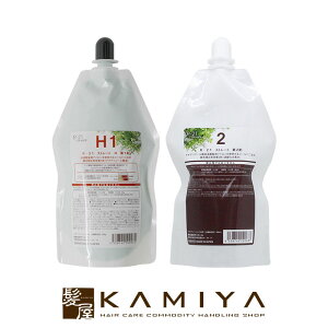 【LINE登録で300円クーポン】サンコール R-21 ストレート H 1剤 400g+2剤 400ml 計2個セット|R-21ストレートH1 R-21ストレート ストレートH H1 R-21ストレート2剤 ストレート2剤 硬毛 硬い髪 普通毛 クセ