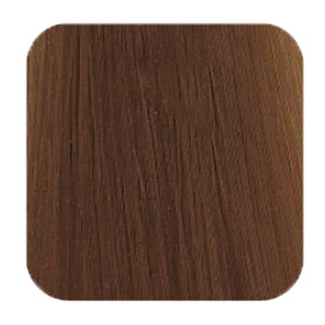 yLINEo^300~N[|zTR[ R-21 tH[JX AVbhJ[ x[WuE 150g|J[ Ɩp  wAJ[  BB-M BB-L TR[ suncall R-21 FOCUS ACID ߕi