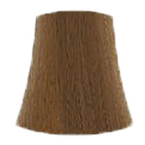 yLINEo^300~N[|zTR[ wAJ[ [ 1 x[WuE 80g|5BB 6BB 7BB 8BB 9BB 11BB 13BB J[ Ɩp  wAJ[ suncall ruu J[O   