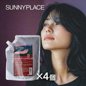 yLINEo^300~N[|zTj[vCX UNY_g[gg 800g l֗p×4Zbg|SUNNYPLACE UNGLX si  PA 玉   ׂ ׂ   ɂ