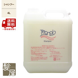 【 期間限定最大7%OFFクーポン対象 】テクスインターナショナル テクナール シャンプー 4L 業務用|4000ml 詰替え用 お徳用 大容量 ヘアトリートメント ヘアケア サロン専売 美容室専売 美容院専売 美容師 おすすめ 人気 話題 ランキング 口コミ クチコミ