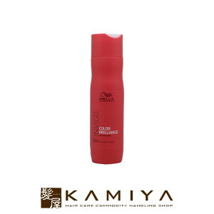 yLINEo^300~N[|zEG vtFbVi CBS J[uAX J[wA Vv[ 250ml|EG uAX EF wella wAPA Tꔄ eꔄ e@