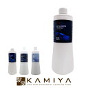 【LINE登録で300円クーポン】ウエラ プロフェッショナル ウエロキソン パーフェクト ＋ 2剤 1000ml|カラー剤 3% 4.5% 6% 医薬部外品 ウエラ 白髪染め wella パーフェクト プラス オキシ オキシダン デベロッパー ヘアケア サロン専売 美容室専売 美容院 美容師