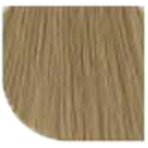 yLINEo^300~N[|zEG vtFbVi RXg p[tFNg { 1 uCguE BBS[h 80g|J[ 7/37 8/37 9/37 10/37 11/37 򕔊Oi EG  wella p[