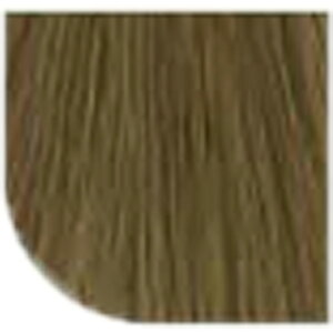 yLINEo^300~N[|zEG vtFbVi RXg p[tFNg { 1 uCguE BB`FXibg 80g|J[ 7/77 8/77 9/77 10/77 11/77 򕔊Oi EG  wella 