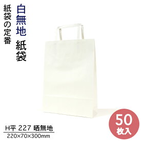 P10倍 紙袋 手提袋 H平227 晒無地 50枚入 白無地 パックタケヤマ巾220×マチ70×高さ300mmテイクアウト お持ち帰り ペーパーバッグ プレゼント ギフト ベーカリー お菓子 使い捨て ラッピング 雑貨 XZT00998