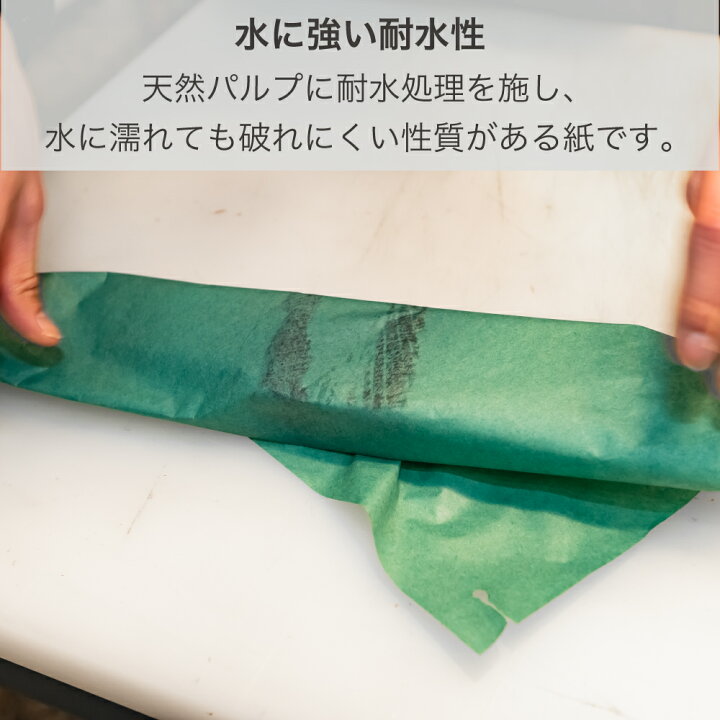 楽天市場】グリーンパーチ 2切 大サイズ 500枚 紐付 76.2cmx50.8cm 魚