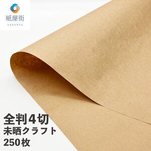 NNtg Ntg S4 250XNtg Ntg 75.5kg 70g bsO j[\ ubNJo[ 