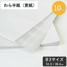 わら半紙 更紙 10kg（約1050枚） 無地 新聞紙 無地新聞紙 印刷なし ペットシーツ ランケット ワイド 紙緩衝材 梱包 荷造り 引越し 梱包資材 緩衝材 包装材 掃除用品 アウトドア フリマ発送用 EC発送用