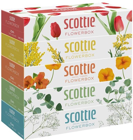 スコッティ (SCOTTIE) ティッシュペーパー フラワーボックス 320枚(160組)5箱×12パック(60箱)　まとめ買い　送料無料