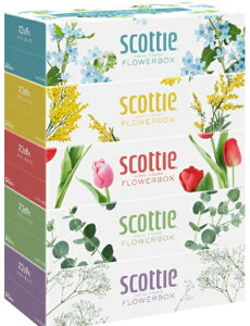 XRbeB (SCOTTIE) eBbVy[p[ t[{bNX 500(250g)5×12pbN(60)@܂Ƃߔ@