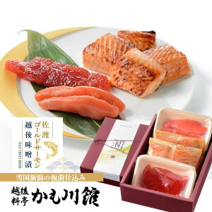 hV̓Mtg  nS[hT[z㖡XЎOFЁ^  9 ؎q 200g 炱 200gb l Zbg ϔ T[  VP XЂ Ђ XWR  ؎q ^R 