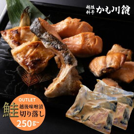 OUTLET 訳あり 【 鮭 越後 味噌漬 切り落とし】 250g 500g 750g 1000g | さけ 切身 漬け魚 サーモン 無添加 手作り 切り落し 送料無料 お取り寄せ グルメ おかず 海鮮 カマ シャケ 漬け魚セット 海鮮漬け 取り寄せ ご飯のお供 つまみ