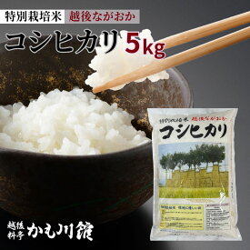 長岡WEB物産展 クーポン対象◆新潟 長岡産 コシヒカリ 5キロ| 米 こしひかり 新潟県産 長岡 越後 白米 特別栽培米 新潟米 ごはん 白飯 精米 料亭かも川館 ミシュラン新潟 掲載 5kg 2025年 令和7年産 お米 新潟産 新潟産コシヒカリ 2025年産米 おこめ 国産米 長岡産コシヒカリ