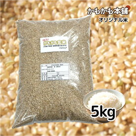 滋賀県産 キヌヒカリ かもかも玄米 5kg