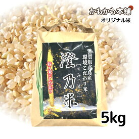 滋賀県産 こしひかり 玄米 5kg
