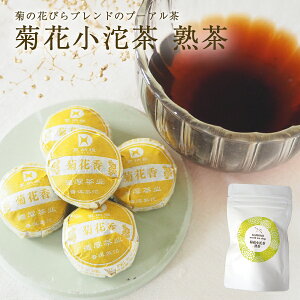 v[A  eԏ 10 20 Ԃт̃v[A Ԓ _  o N uh |Cg Ō`v[A ? v[A[   pbN  