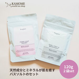 Mtg oX\g  120g×2 1ܖ4 huxter ( nNX^[ ) oX\[N sIj[ 䉖 A[OC g xKbg 