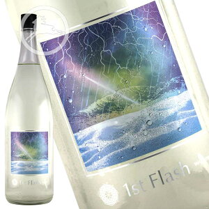 yLzWagauji 1st Flash hߐ 1.8Lbڂ肽Ă̏ՌItbVbR` ߉s Hb~G{bnbMtgɂ