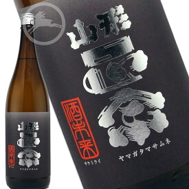 【蔵直・正規取扱店限定酒】山形正宗　純米吟醸　酒未来　1800ml （さけみらい　サケミライ）　日本酒　地酒　山形県　水戸部酒造