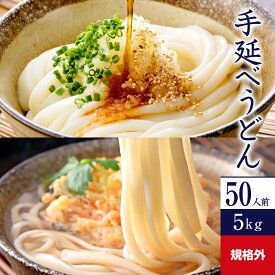 規格外 手延べうどん 5kg 乾麺 U5K-B | かも川 うどん 饂飩 ウドン udon 麺 めん 麺類 乾燥麺 長期保存 保存食 ネット限定 お得 お徳用 まとめ買い 業務用 ワケあり 訳あり ざるうどん 釜揚げうどん かけうどん 家庭用 自宅用 手延うどん ご当地グルメ