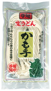  艄אǂ 300g×1 RU300 | ǂ ZJ Eh udon 艄 艄 艄ׂǂ 艄ǂ  ߂ ˗  ǂ ǂ 艄ׂǂ ύ ύ݂ǂ |Cg
