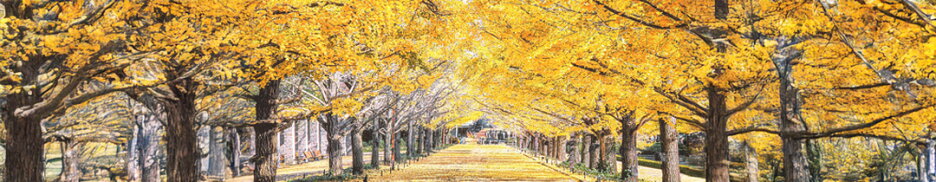 【無断転載禁止】&#169;松浦薬業