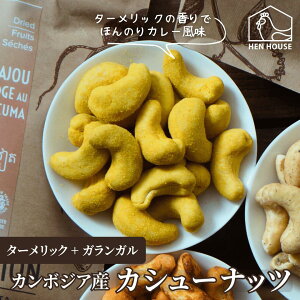 《 オーガニック 栽培 》 大粒カシューナッツ 125g ( ターメリック + ガランガル ) カンボジア ラプランテーション 甘い 濃厚 美味しい おつまみ おやつ 薄塩 ロースト ダイエット 健康食品 お