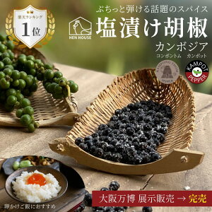 s 㖜 W̔ YouTubeЉt yVLO1 Ђ Ӟ 25g YnIׂ J|bgybp[ R|gybp[ _ Y J{WA Ӟ  Ӟ̉Ђ ubN