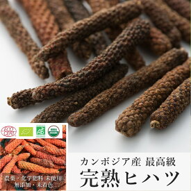 カンボジア産 最高級 完熟ヒハツ (房) 50g オーガニック 認証 ヒハツ 無農薬 無化学肥料 無添加 アーユルヴェーダ ヴィーガン グルメ スパイス ビーガン 香辛料 調味料 胡椒 コショウ こしょう コショー ひはつ 長胡椒 ロングペッパー ホール 薬味 完熟 腸活