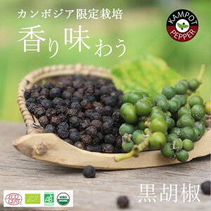 s㖜 W̔t J|bgybp[ Ӟ 100g J{WA ō 傤 ubNybp[ RVE  _ w엿 z[ O XpCX h  Y