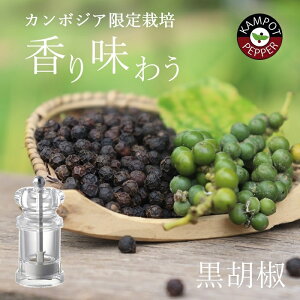 s㖜 W̔tJ|bgybp[ ō Ӟ ( E ) 50g J{WA I[KjbN 傤 ubNybp[ RVE 傤  _ w엿 z[