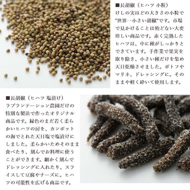 楽天市場 送料無料 カンボジア産 最高級 ヒハツ 長胡椒 パウダー 100g 無農薬 無化学肥料 カンポット オーガニック認証取得 ロングペッパー ひはつ アーユルヴェーダ ヴィーガン グルメ スパイス 香辛料 オーガニック フェアトレード Long Pepper Powder Lp