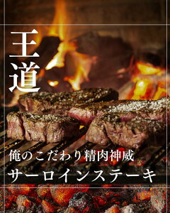 ̐_ T[CXe[L 5kg ̍ŏ㋉ ₫ Ԃ [Xgr[t