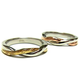 nCAWG[ O w XN[ fB[X vA T[WJ XeX