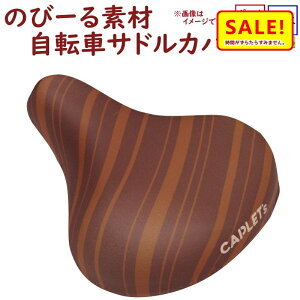  ] ThJo[  NC-002 tJ[`CAP pTCY _{[_[/uÊс[fށilj