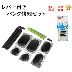 自転車 パンク修理セット Lサイズ ゴムのり パッチ 虫ゴム の セット品 サギサカ 31614（ネ）さネコポス