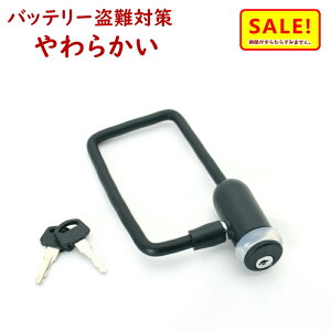 5{ 11 dAVXg] obe[bN 73771 ubN LŶɂ 炩 C[ obe[̓h~ɁiljlR|X