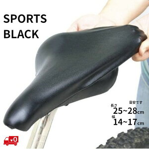 13(xƓ) ] ThJo[ NXoCN `mr X|[c ThJo[ }EeoCN ThCp 061198ij