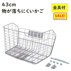 5{ 11 ]ԑO 傫 48385 ʋ ʊw Ch 40cm̂΂ C[JS B4TCY ʋ΃obNΉij