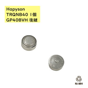 �n�s�\�� �\�[���[�e�[����C�p�[�d�d�r GP40BVH ��p�i TRQNB40(H) TRQNHB40 ( Hapyson ) 1�i��j��