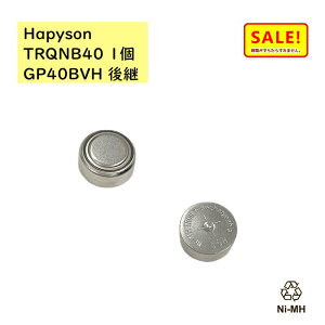 5{ 27 ns\ \[[e[Cp[ddr GP40BVH pi TRQNB40(H) TRQNHB40 ( Hapyson ) 1ij