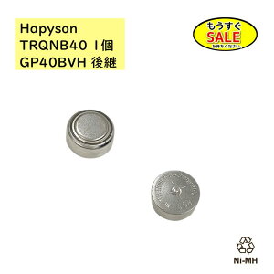 �\���� 3��20��~ �n�s�\�� �\�[���[�e�[����C�p�[�d�d�r GP40BVH ��p�i TRQNB40(H) TRQNHB40 ( Hapyson ) 1�i��j��