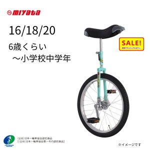 5{ 11  ~^ ֎ t~S {֎ԋF菤i FL165 16C` FL185 18C` FL205 20C` ֎ wZ   ֎