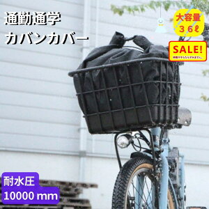 5{ 27 ]ԃJo[ h 傫 JoJo[ RC36 ubN vې쏊 J悯Jo[ ^ RC-36 ʋ ʊwɕ̃Jo S}[NȂ Hij