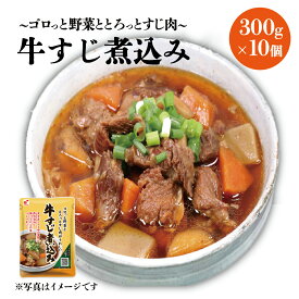 【牛すじ煮込み 300g×10個】 関越物産 カンエツ 牛すじ こんにゃく 野菜 ごぼう 人参 唐辛子 ピリ辛 甘辛 しょうゆ味 おかず おつまみ 送料無料