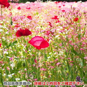 pi\jbN@Wt[hIvV[FY-MH756C-S]O@75cm@S60cmyz