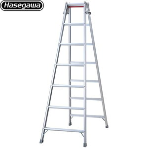 [RD-21c] JH ͂Er ͂pr RD 7i őgpʁF100kg VimjF1.99ALimjF1.7 L ^b`o[ yzyʔzzysz