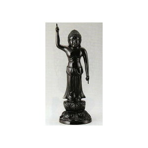 mi173-05�����@�߉ޒa�����ځ@�����@����33.5cm