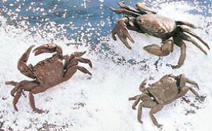 o181-05u@ɁiJjCj@X^@@ysmtb-tkz